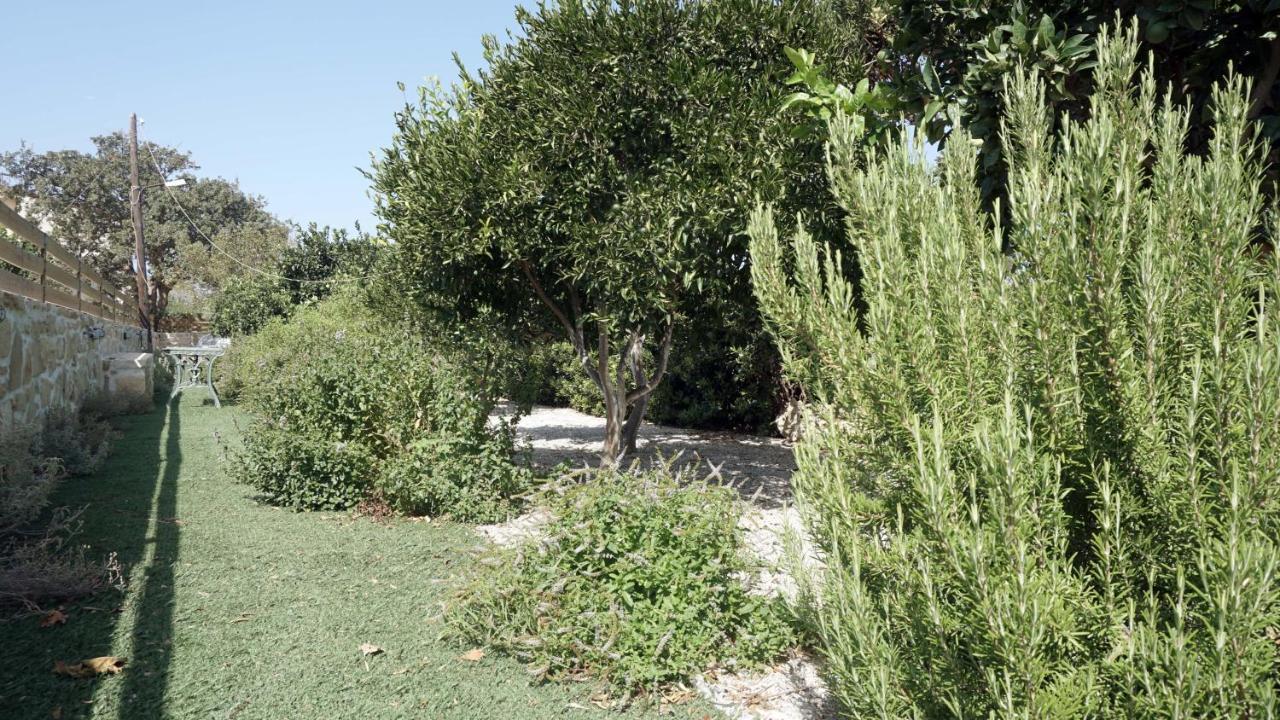 Studio Eleni - Oasis Holiday Houses Kokkinos Pirgos Exterior photo